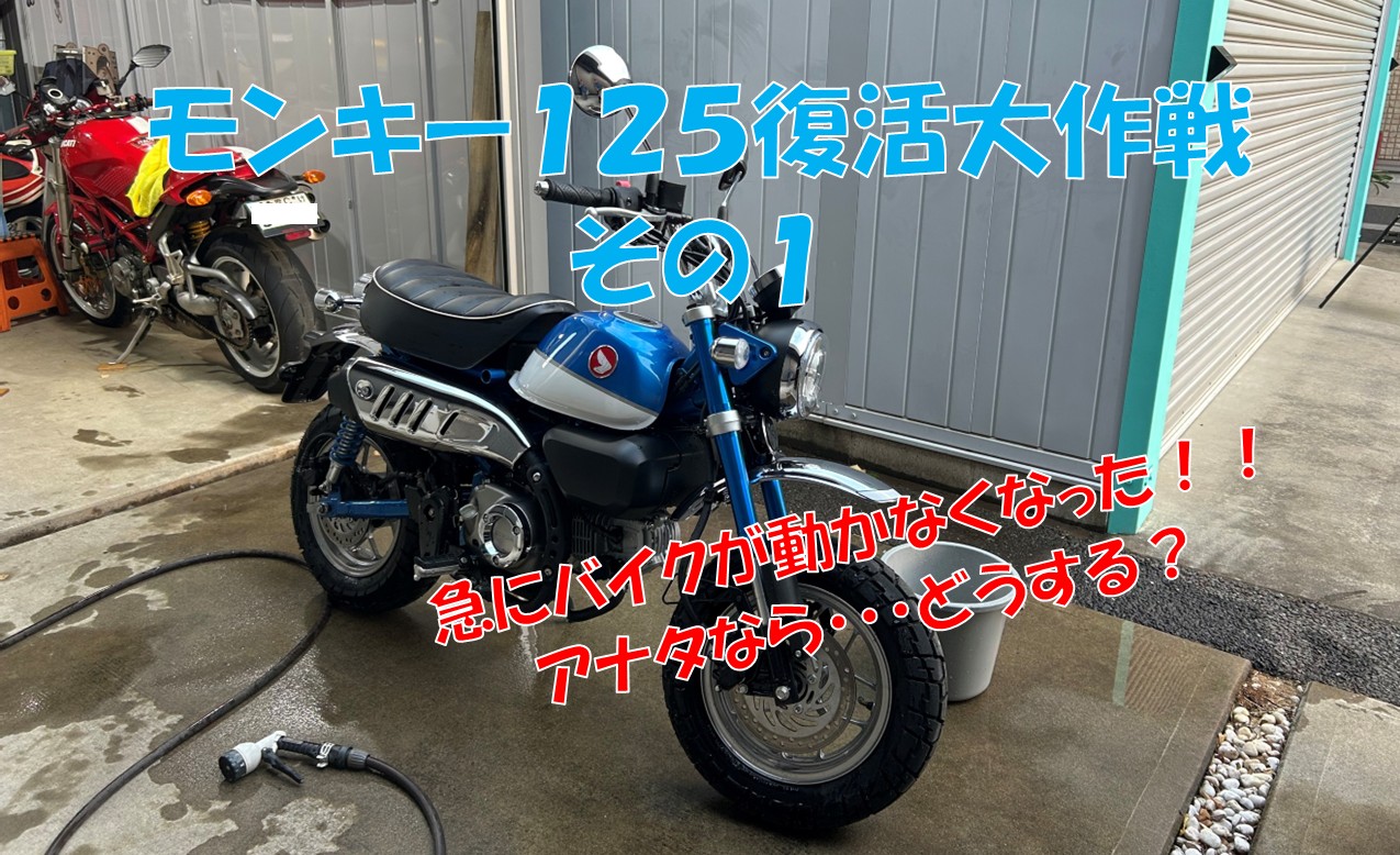 モンキー125復活大作戦！その1 | キャンツー日和